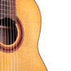 CORDOBA C7 CD ACOUSTIC GUITAR - Image 2