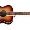 GUILD M260E DELUXE EDGE BURST - Image 4