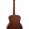 TANGLEWOOD TE3BL ELEMENTAL FOLK ACOUSTIC - Image 2