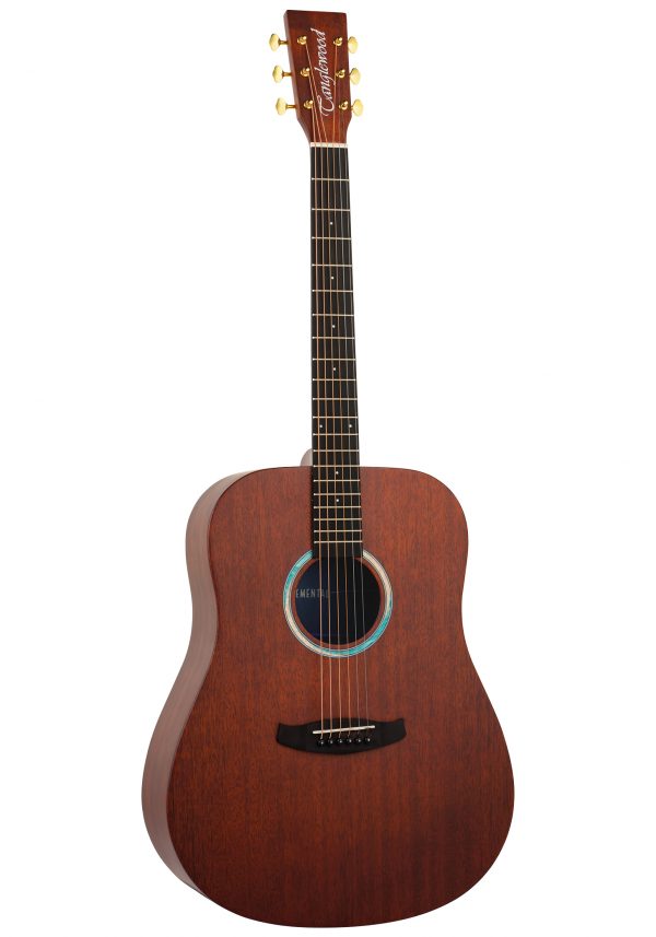 TANGLEWOOD TE5BL ELEMENTAL DREADNOUGHT ACOUSTIC