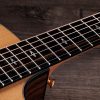 TAYLOR 214CE PLUS 50TH ANNIVERSARY LTD ED - Image 10